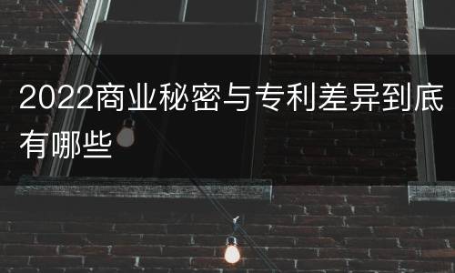 2022商业秘密与专利差异到底有哪些