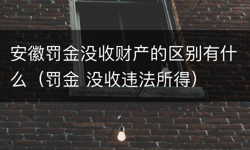 安徽罚金没收财产的区别有什么（罚金 没收违法所得）