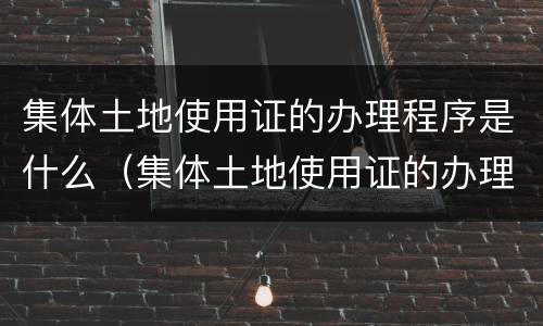 集体土地使用证的办理程序是什么（集体土地使用证的办理程序是什么呢）