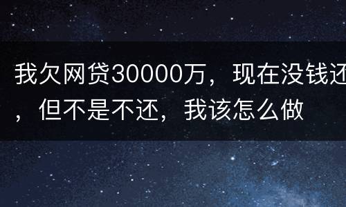 我欠网贷30000万，现在没钱还，但不是不还，我该怎么做