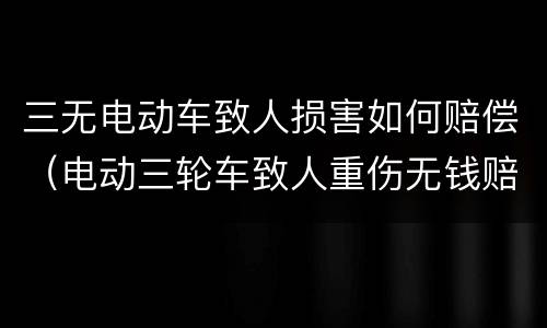 三无电动车致人损害如何赔偿（电动三轮车致人重伤无钱赔偿）