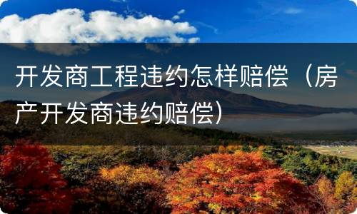 开发商工程违约怎样赔偿（房产开发商违约赔偿）