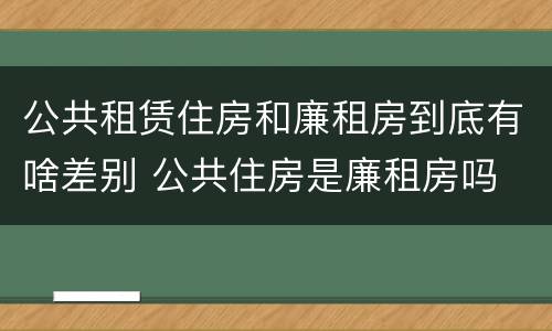 公共租赁住房和廉租房到底有啥差别 公共住房是廉租房吗