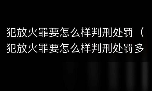 犯放火罪要怎么样判刑处罚（犯放火罪要怎么样判刑处罚多少钱）