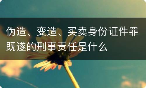 伪造、变造、买卖身份证件罪既遂的刑事责任是什么