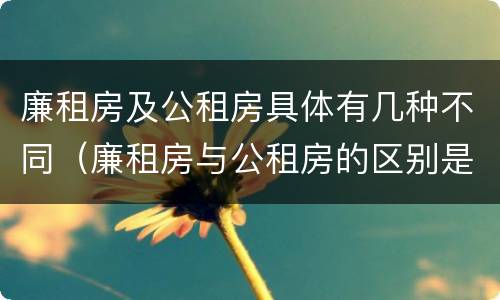 廉租房及公租房具体有几种不同（廉租房与公租房的区别是什么）