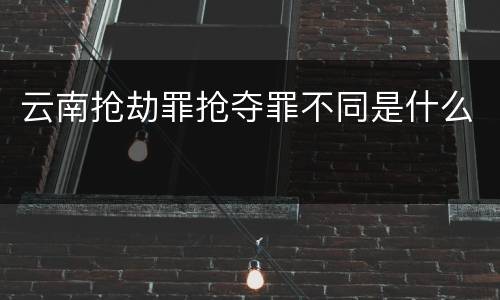 云南抢劫罪抢夺罪不同是什么