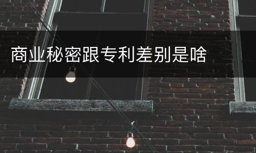 商业秘密跟专利差别是啥