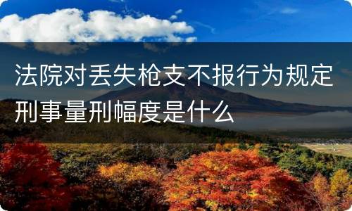 法院对丢失枪支不报行为规定刑事量刑幅度是什么