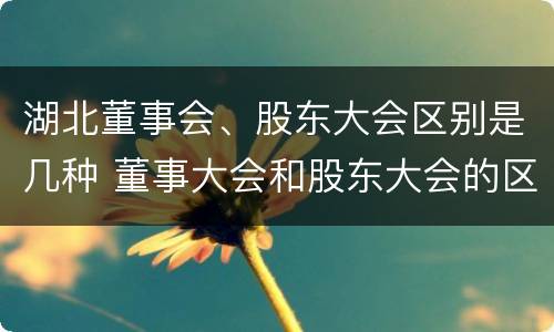湖北董事会、股东大会区别是几种 董事大会和股东大会的区别