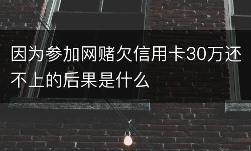 因为参加网赌欠信用卡30万还不上的后果是什么