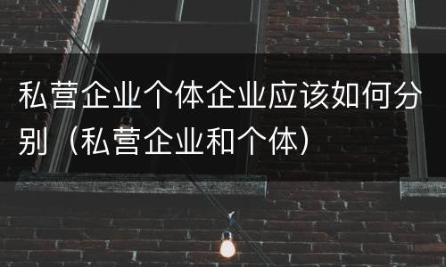 私营企业个体企业应该如何分别（私营企业和个体）