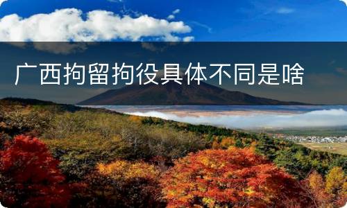 广西拘留拘役具体不同是啥