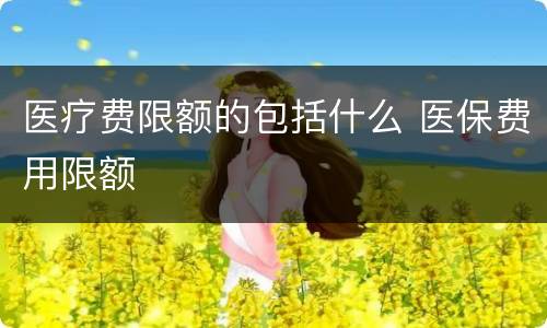 医疗费限额的包括什么 医保费用限额