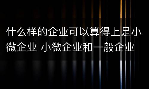什么样的企业可以算得上是小微企业 小微企业和一般企业