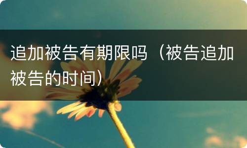 追加被告有期限吗（被告追加被告的时间）