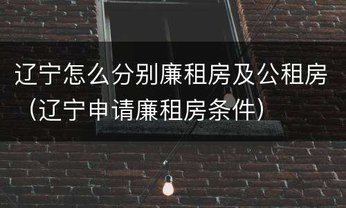 辽宁怎么分别廉租房及公租房（辽宁申请廉租房条件）