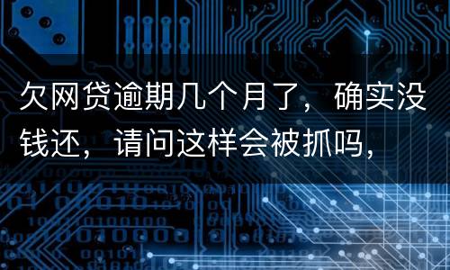 欠网贷逾期几个月了，确实没钱还，请问这样会被抓吗，
