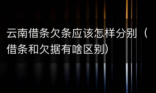 云南借条欠条应该怎样分别（借条和欠据有啥区别）