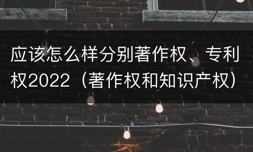 应该怎么样分别著作权、专利权2022（著作权和知识产权）