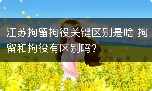 江苏拘留拘役关键区别是啥 拘留和拘役有区别吗?
