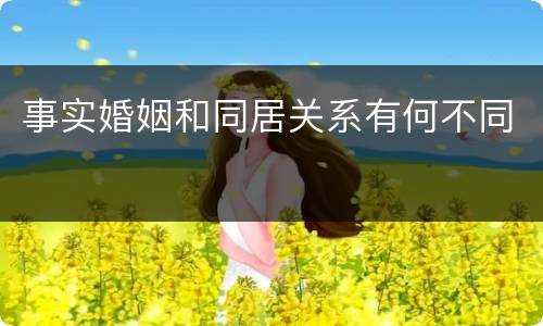 事实婚姻和同居关系有何不同