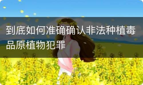 到底如何准确确认非法种植毒品原植物犯罪