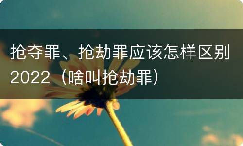 抢夺罪、抢劫罪应该怎样区别2022（啥叫抢劫罪）