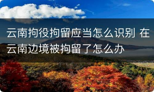云南拘役拘留应当怎么识别 在云南边境被拘留了怎么办