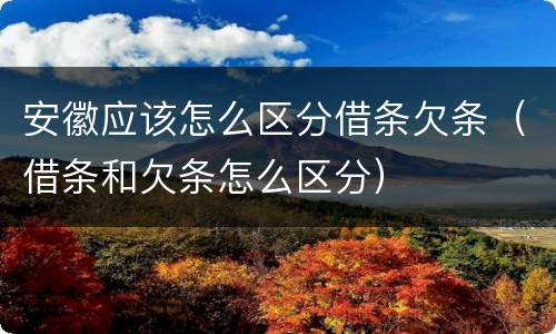 安徽应该怎么区分借条欠条（借条和欠条怎么区分）