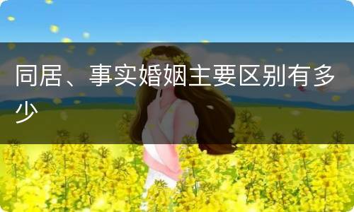 同居、事实婚姻主要区别有多少
