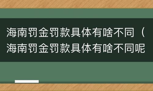 海南罚金罚款具体有啥不同（海南罚金罚款具体有啥不同呢）