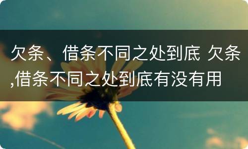 欠条、借条不同之处到底 欠条,借条不同之处到底有没有用