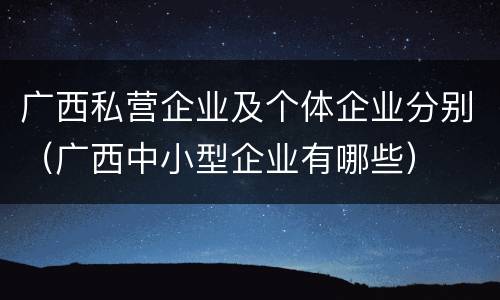 广西私营企业及个体企业分别（广西中小型企业有哪些）