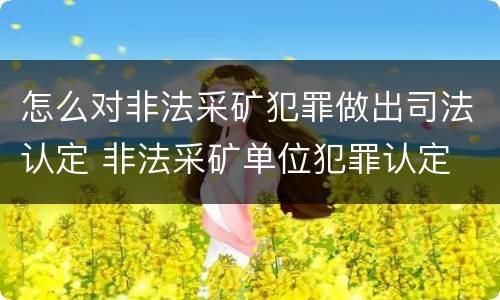 怎么对非法采矿犯罪做出司法认定 非法采矿单位犯罪认定