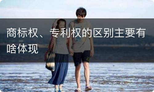 商标权、专利权的区别主要有啥体现