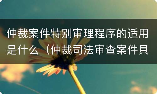 仲裁案件特别审理程序的适用是什么（仲裁司法审查案件具体包括哪些案件）