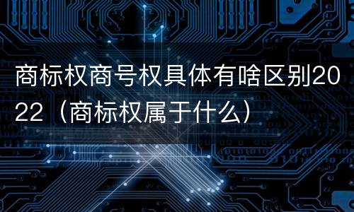 商标权商号权具体有啥区别2022(商标权属于什么)