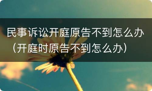 民事诉讼开庭原告不到怎么办（开庭时原告不到怎么办）