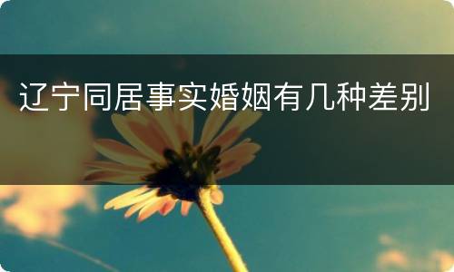 辽宁同居事实婚姻有几种差别