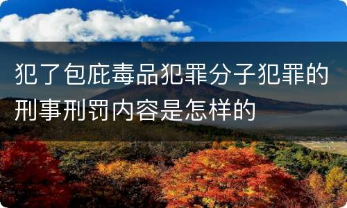 犯了包庇毒品犯罪分子犯罪的刑事刑罚内容是怎样的