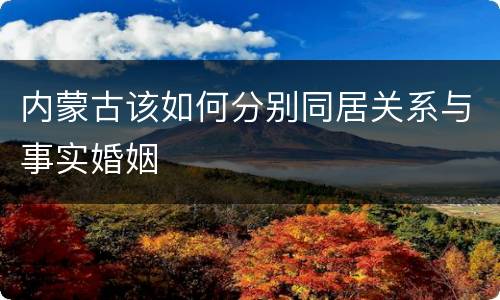 内蒙古该如何分别同居关系与事实婚姻
