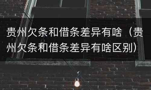 贵州欠条和借条差异有啥（贵州欠条和借条差异有啥区别）