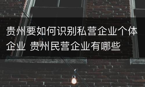 贵州要如何识别私营企业个体企业 贵州民营企业有哪些