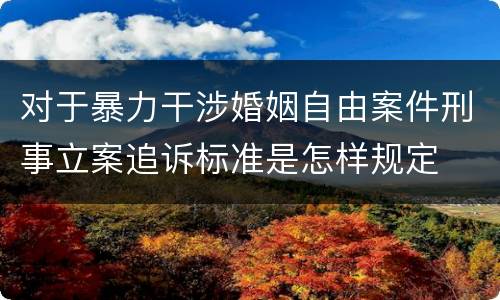 对于暴力干涉婚姻自由案件刑事立案追诉标准是怎样规定