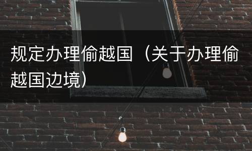 规定办理偷越国（关于办理偷越国边境）