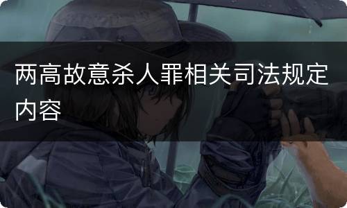 两高故意杀人罪相关司法规定内容
