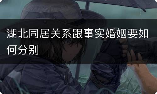 湖北同居关系跟事实婚姻要如何分别
