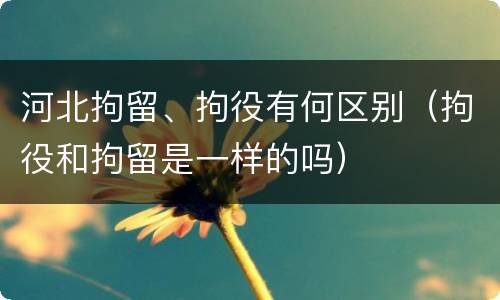 河北拘留、拘役有何区别（拘役和拘留是一样的吗）