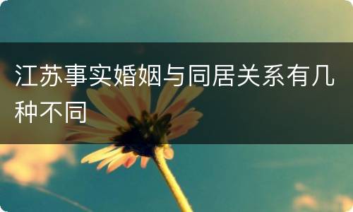江苏事实婚姻与同居关系有几种不同
